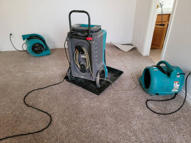 Professional Water damage restoration in CT
