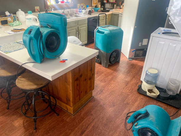 Best Water damage repair service  in Ridgebury, CT