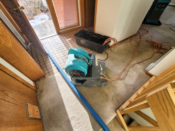 Best Water damage contractors near me  in Ridgebury, CT