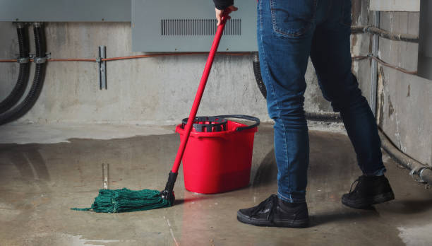 Best Flood damage cleanup  in Ridgebury, CT