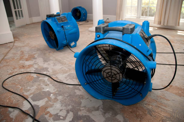 Best Flood restoration services  in Ridgebury, CT