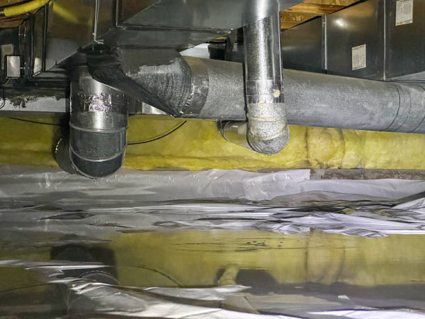 Best Water damage cleanup near me  in Ridgebury, CT