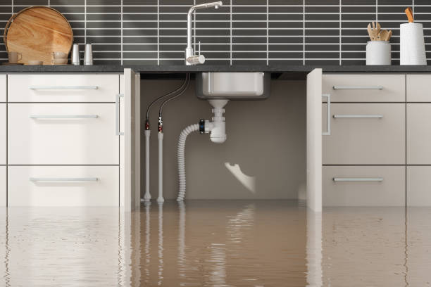  Ridgebury, CT Water damage restoration Pros