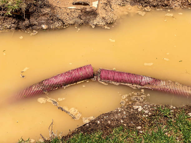 Best Water damage restoration near me  in Ridgebury, CT